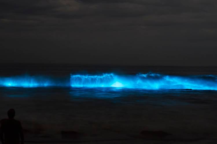 Cocoa Beach Florida at Night