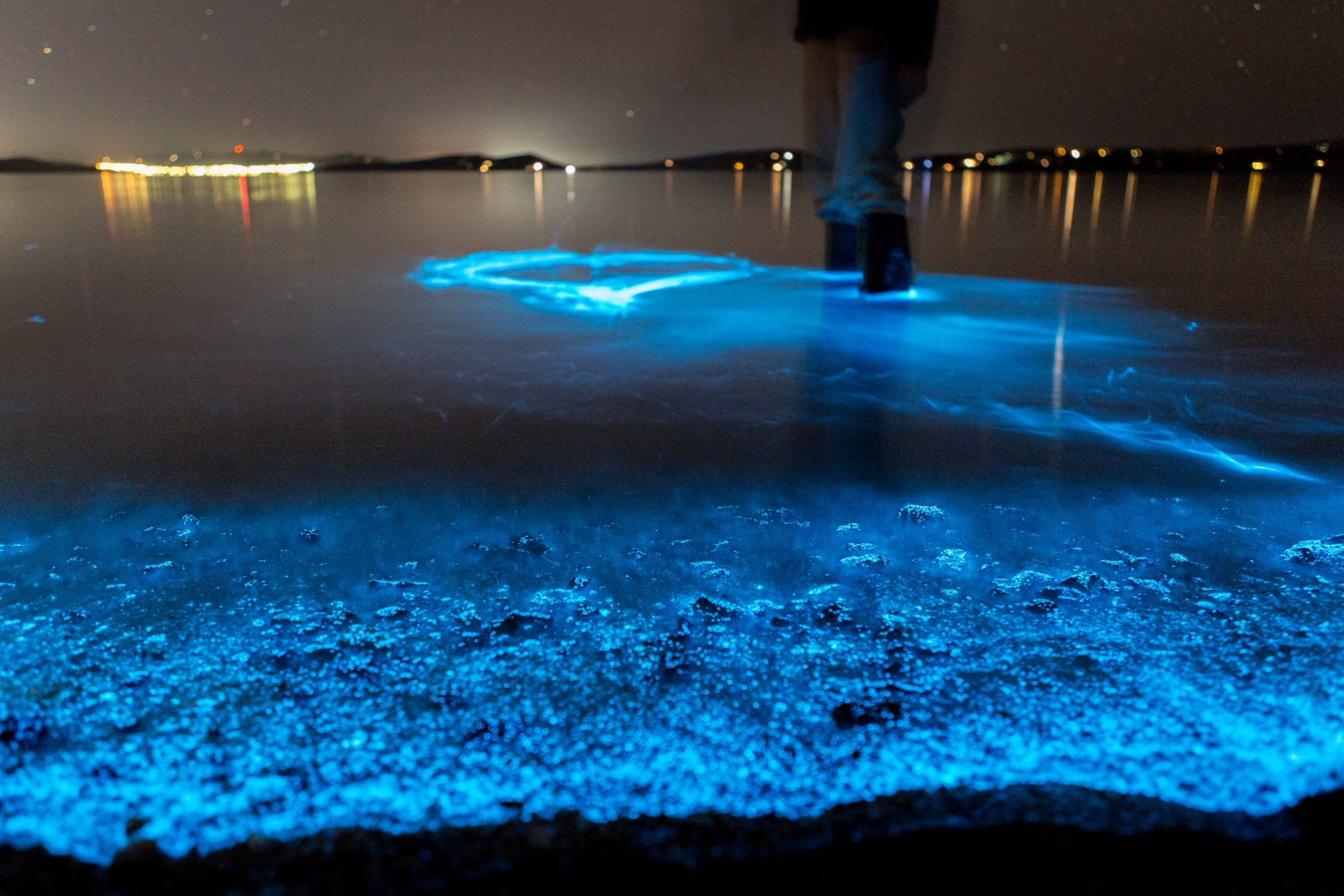 Bioluminescent Kayak Tours: Illuminate Your Adventure