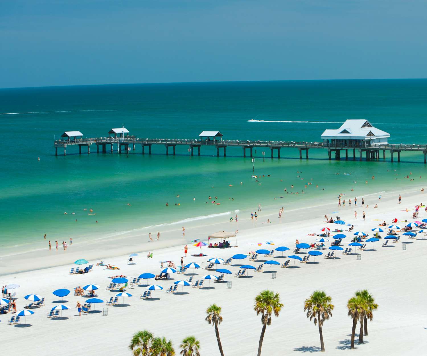 Tampa Or Clearwater: Which is Better?